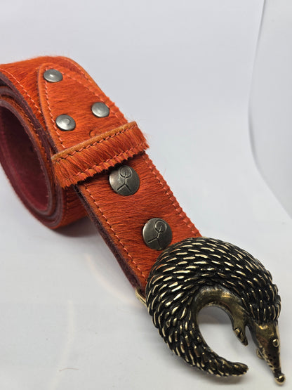 Boucle hérisson